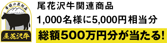 尾花沢牛関連商品 1,000名様に5,000円相当分 総額500万円分が当たる！