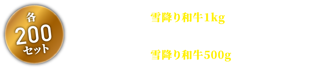 尾花沢牛肉まつり 12,000円（4人分）